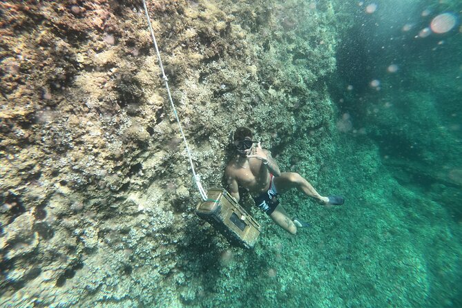 The Challenge in Mallorca - Meeting and Pickup Locations