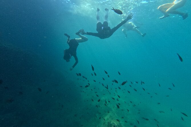 The Challenge in Mallorca - Guest Age and Ability Requirements