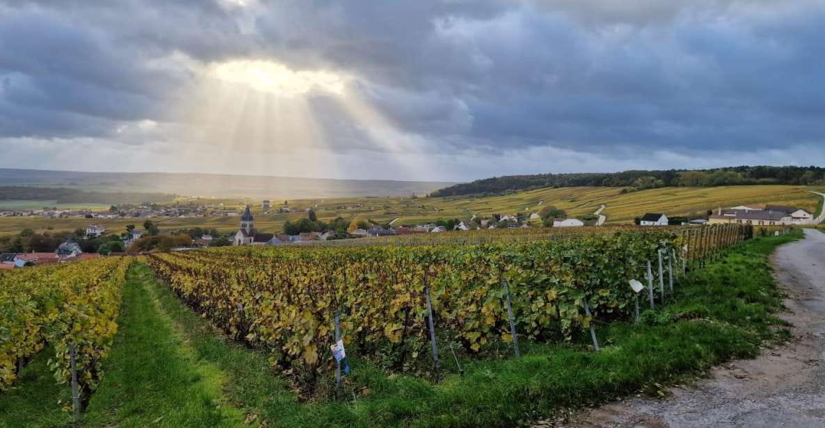 The Champagne Tour - Activities