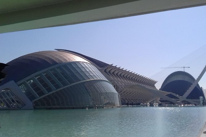 The City of Arts and Sciences in Valencia - Accessibility and Inclusivity