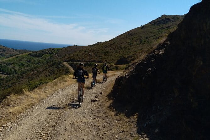 The Collioure Tops on Electric Scooters - Key points / Takeaways