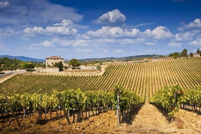 The Complete Wine Tour Brunello, Nobile, Chianti wine experience - Entering the Heart of Tuscany: Itinerary Breakdown
