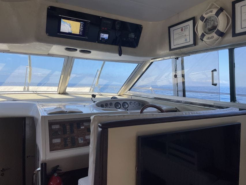 The Cookies: Private Luxury Yacht Cruise With Lunch - Whale and Dolphin Sighting