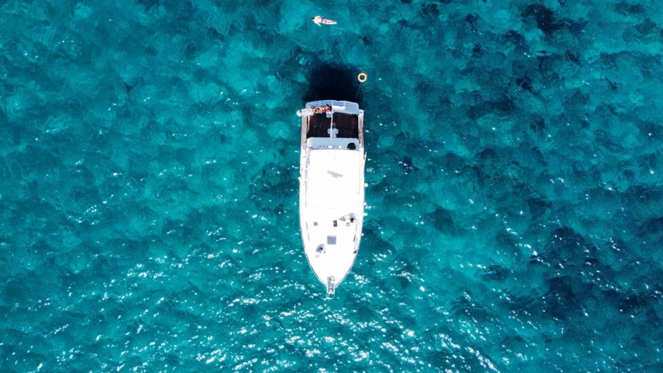 The Cookies: Whale & Dolphin Tour With Local Skipper - Guided Information