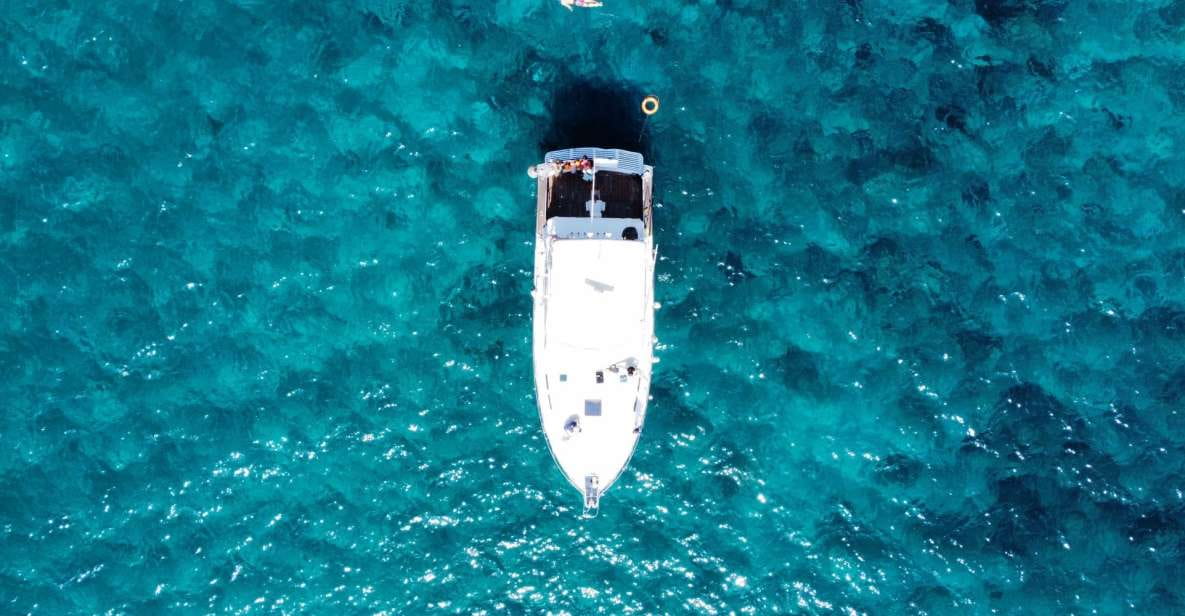 The Cookies: Whale & Dolphin Tour With Local Skipper - What to Bring