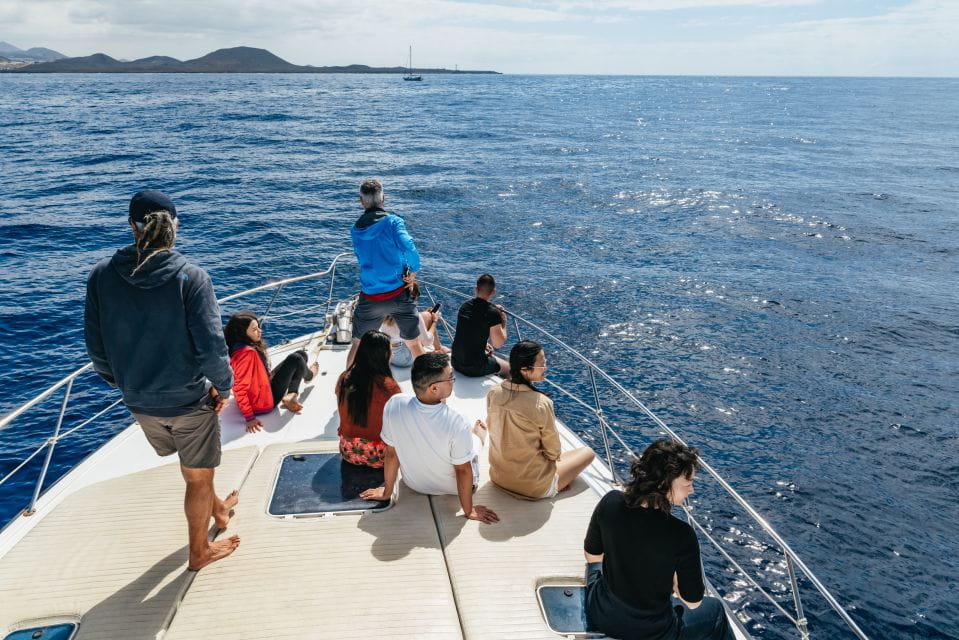 The Cookies: Whale & Dolphin Tour With Local Skipper - Things To Know