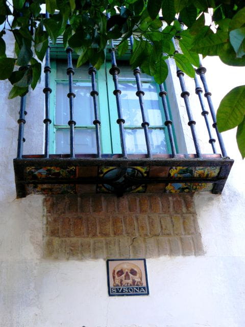 The Cultures of Seville Walking Tour - Who Will Love This Tour?