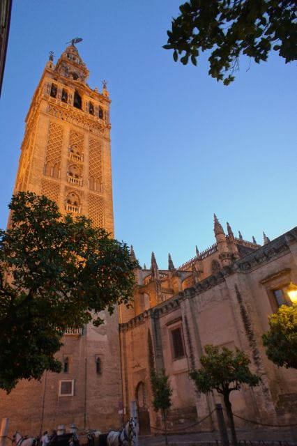 The Cultures of Seville Walking Tour - Final Thoughts