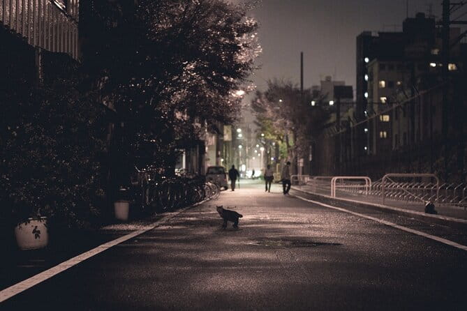 The Dark Side of Osaka Walking Tour - Navigating the Shadows of Shinsekai