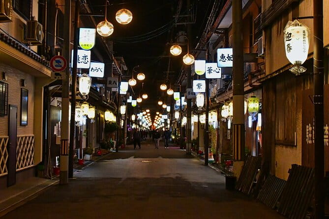 The Dark Side of Osaka Walking Tour - Delving Into the Unseen Corners