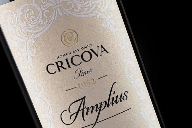 The Day Tour to Cricova Cellar & Old Orhei Cave Monasteries - Who Will Love This Tour?