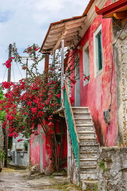 The Durrells in Corfu Town: Private tour - Who Will Love This Tour?