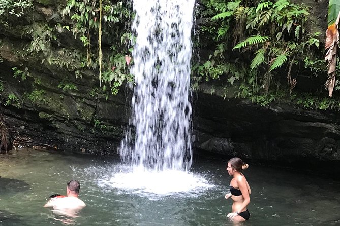 The El Yunque Rainforest Hiking Tour From San Juan - Accessibility and Permits