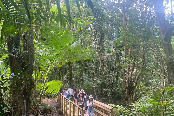 The El Yunque Rainforest Hiking Tour From San Juan - Tour Logistics