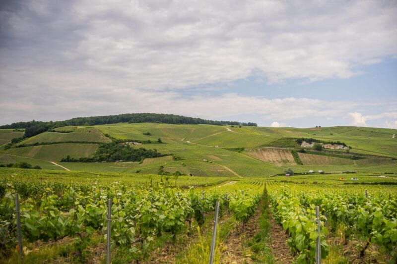 The Essential Tour from Epernay with Champagne Tasting - Vintage Van Ride and Scenic Views