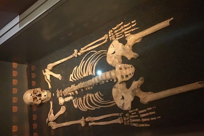 The Freemasons Tour of London - Key Points