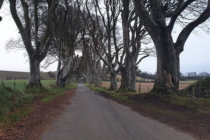 The Giant's Causeway, Dunluce Castel and Belfast - Spanish guide - Frequently Asked Questions