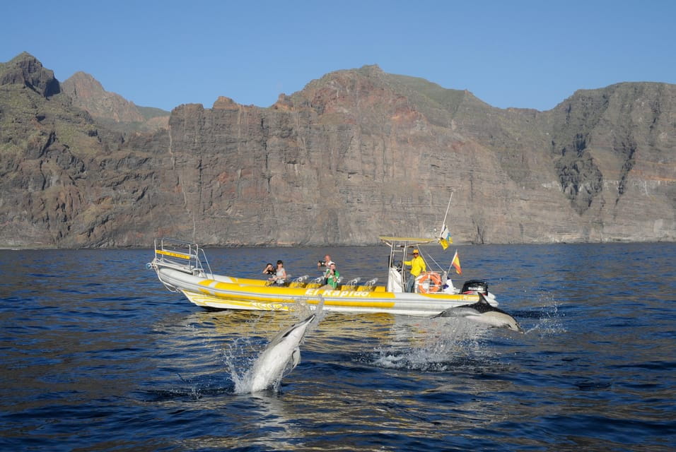 The Giants: Dolphin and Whale Watching Cruise by Speedboat - Itinerary Details