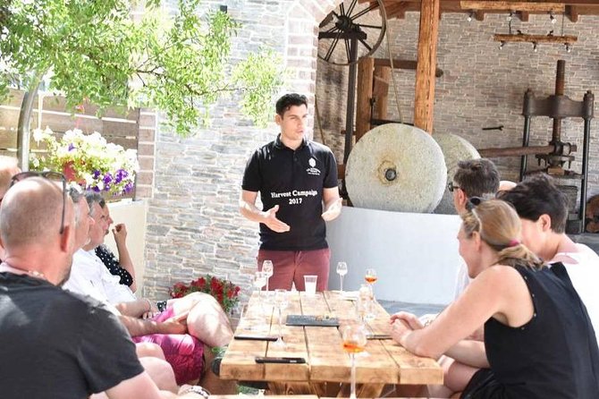 The Governor Olive Mill Tour With Olive Oil Tasting - Key Points