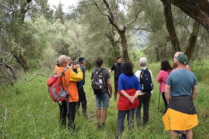 The Governor Olive Mill Tour With Olive Oil Tasting - Cancellation Policy