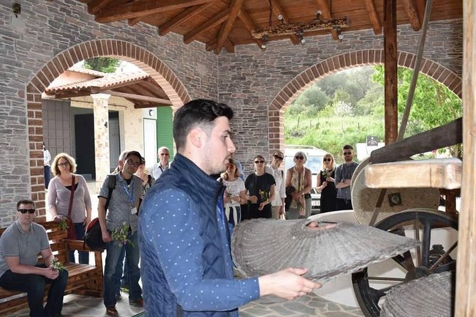 The Governor Olive Mill Tour With Olive Oil Tasting - Weather Considerations