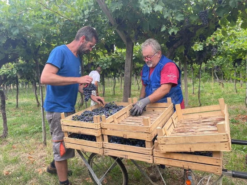 The grand tour of Amarone: 2 wineries, lunch & Amarone focus - Final Thoughts