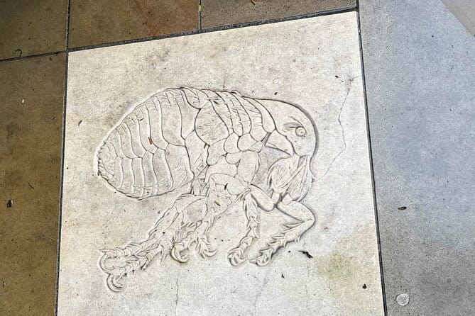 The Great Plague & Black Death Tour of London - Practical Tips for a Great Experience