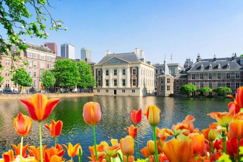 The Hague: Insta-Perfect Walk with a Local - Exploring The Hague Through a Locals Lens