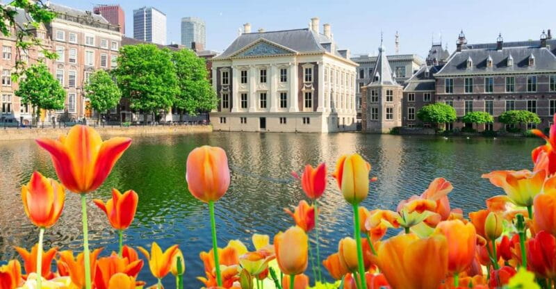 The Hague: Insta-Perfect Walk with a Local - Final Words