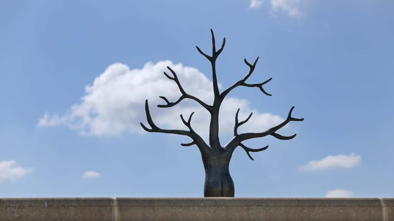 The Hague: Museum Beelden aan Zee Entry Ticket - What to Expect During Your Visit