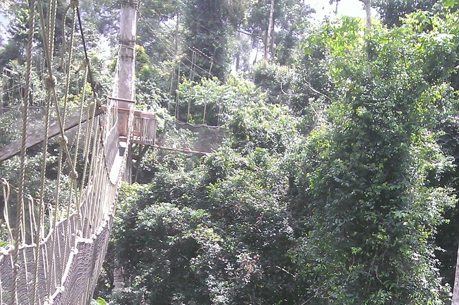 The Homecoming Experience To Cape-coast And Elmina. - Key Points