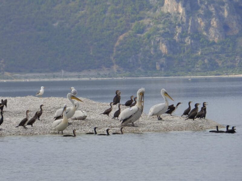 The Island of the Snakes - Golem Grad - Key points / Takeaways