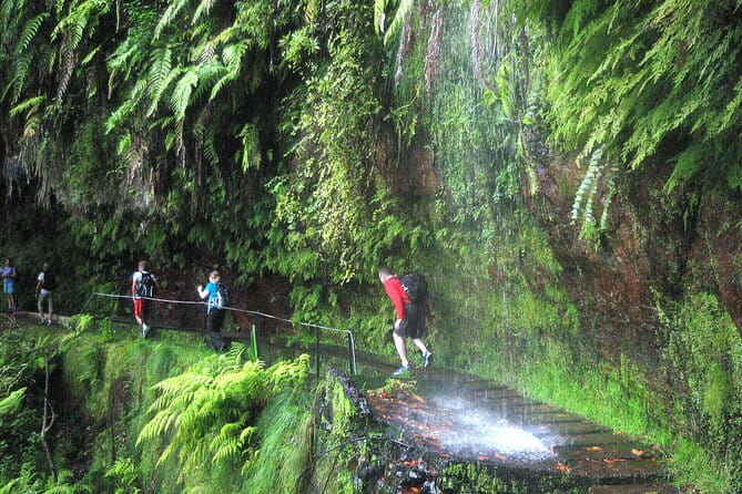 The King's Levada - Levada do Rei - Discovering the Magic of the Levada do Rei