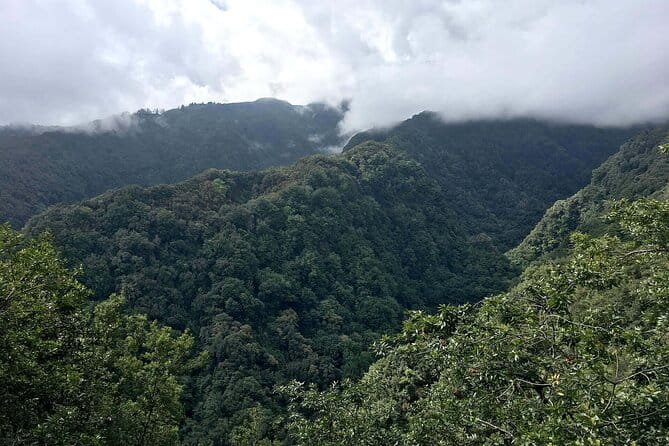 The King's Levada - Levada do Rei - In-Depth Look at the Itinerary