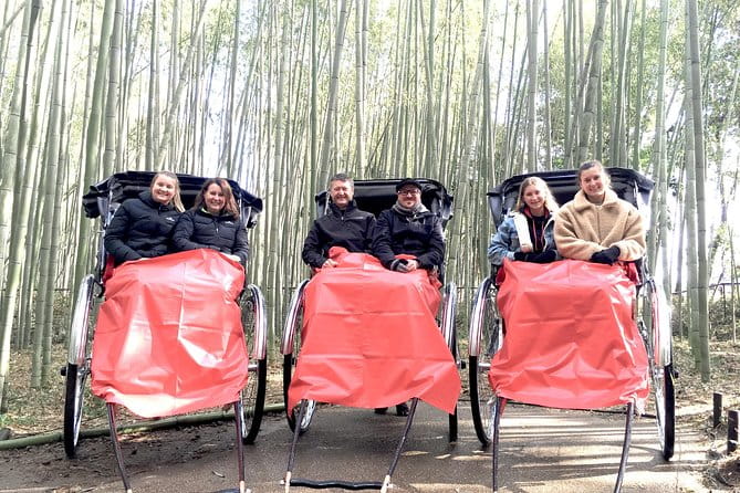 The Kyoto VIP Experience! - Traveler Feedback and Highlights