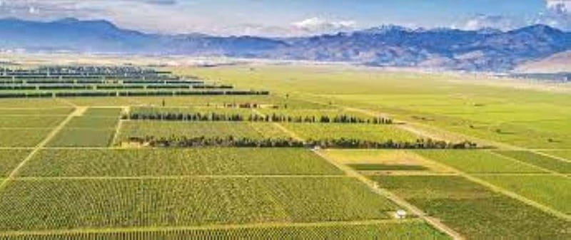 The largest winery in Montenegro: private tour & transport - Key points / Takeaways