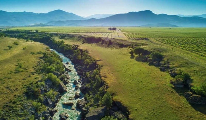 The largest winery in Montenegro: private tour & transport - Visiting Montenegro’s Largest Winery: What to Expect