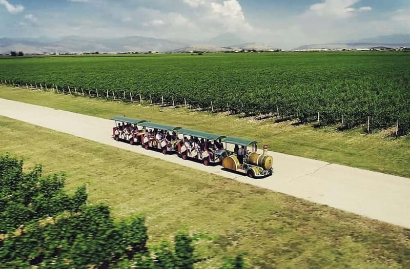 The largest winery in Montenegro: private tour & transport - Price and Value Analysis