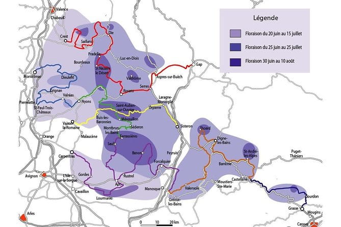 The Lavender tour from marseille or aix en provence - Guides Who Make the Difference