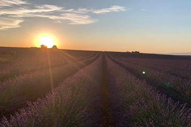 The Lavender tour from marseille or aix en provence - Final Thoughts: Who Should Consider This Tour?