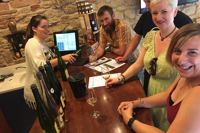 The Little Alsatian Tour With a Local Private Friendly Driver and a Tesla - Key Points