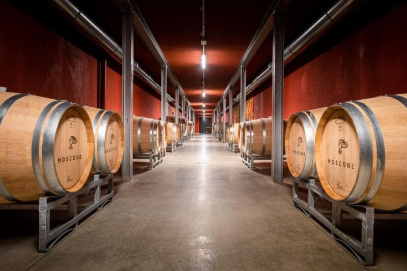 The Madama: Wine tasting in La Morra - Who Is This Tour Best For?