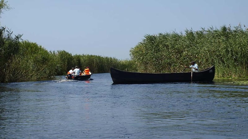 The Magic of Transylvania and the Danube Delta: 8 Days - Unveiling Romania’s Charm: A Balanced Look at the 8-Day Transylvania & Danube Delta Adventure