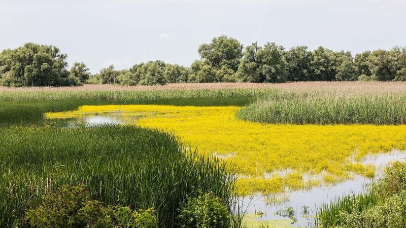 The Magic of Transylvania and the Danube Delta: 8 Days - Key Points / Takeaways