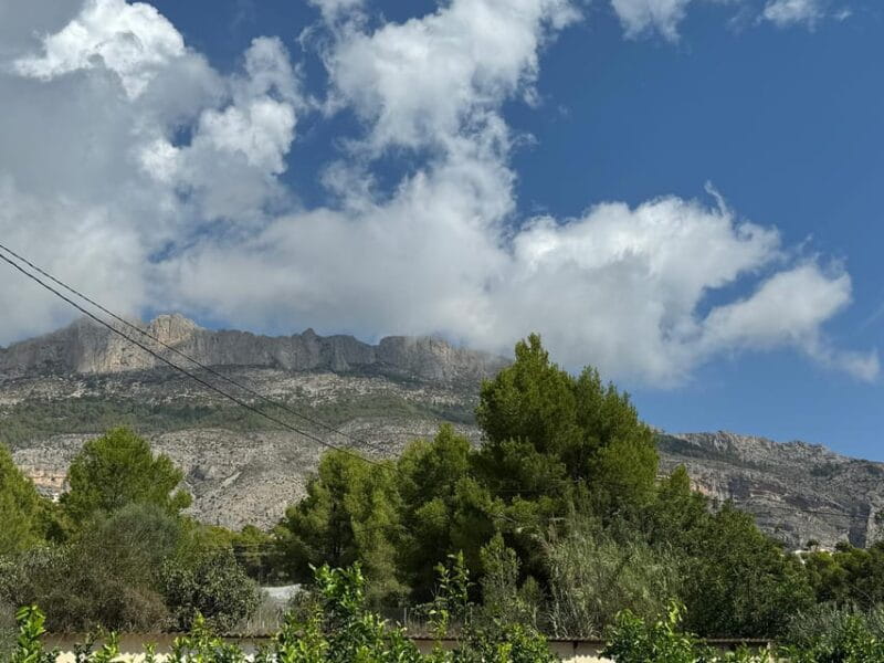 The Magnificent 7 day trip - Altea: The Bohemian Seaside Gem