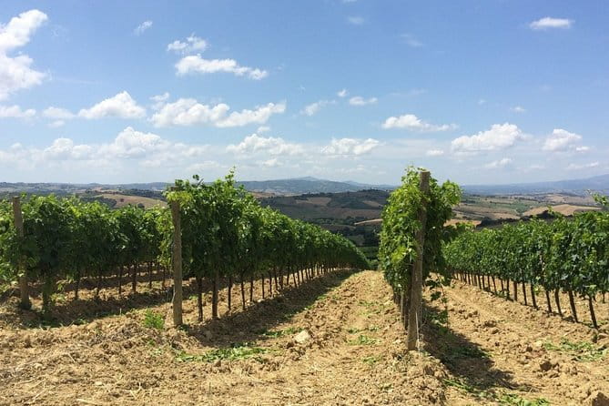 The Maremma - Who Will Love This Tour?