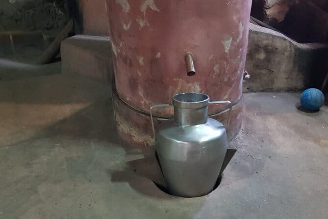 The Medronho Experience! - Transport and Practical Details