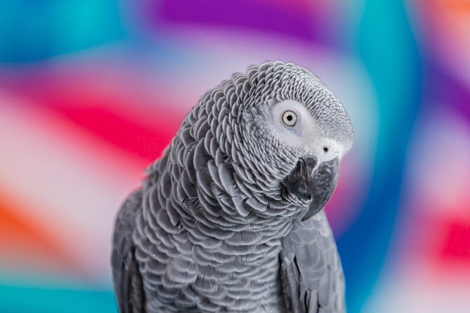 The National Aquarium Abu Dhabi Admission Tickets - Hours of Operation