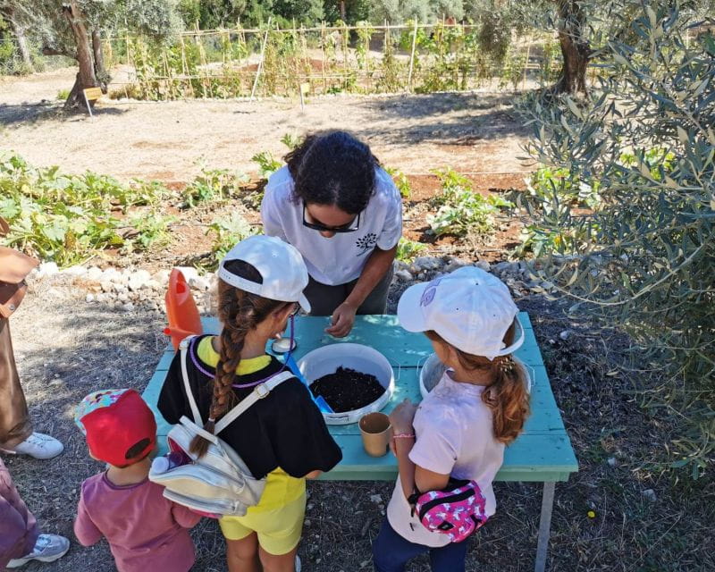 The Olive Oil Experience @ Lefkada Micro Farm - FAQ