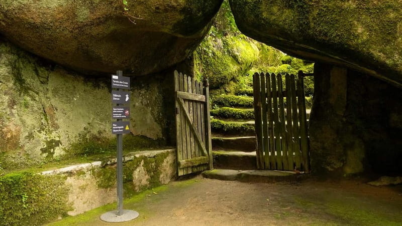 The Other Side of Sintra - Forgotten Woods Tour - Key points / Takeaways